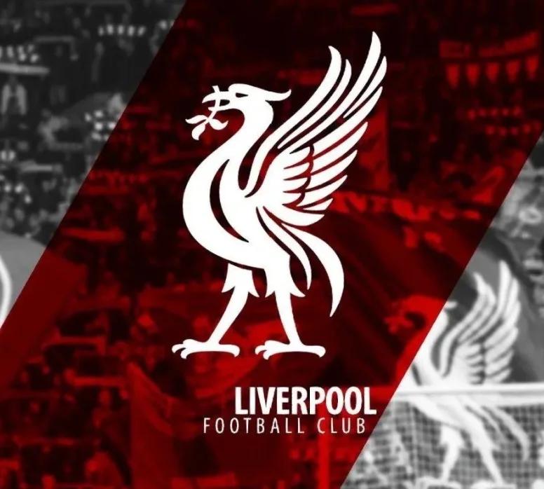 世俱杯参赛资格-包含莱切斯特城主场击败利物浦，夺得宝贵积分的词条