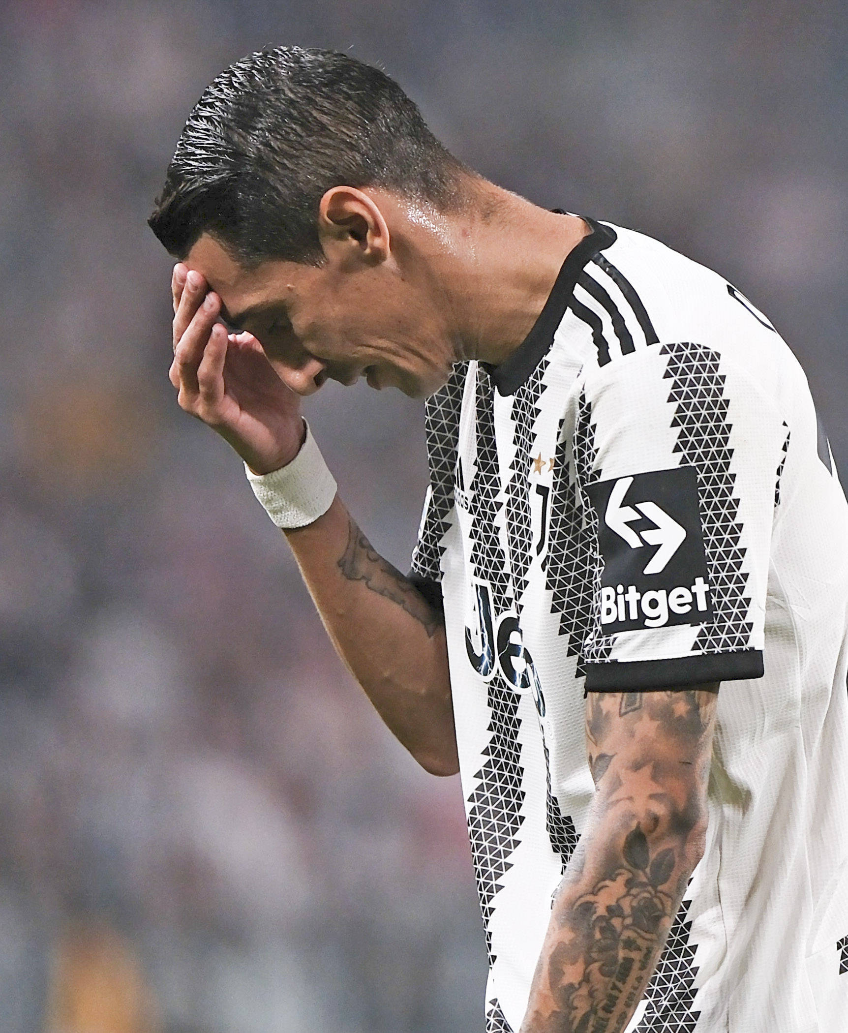 希腊逆转荷兰,迪马利亚点燃赛场的简单介绍 希腊逆转荷兰,迪马利亚点燃赛场的简单介绍