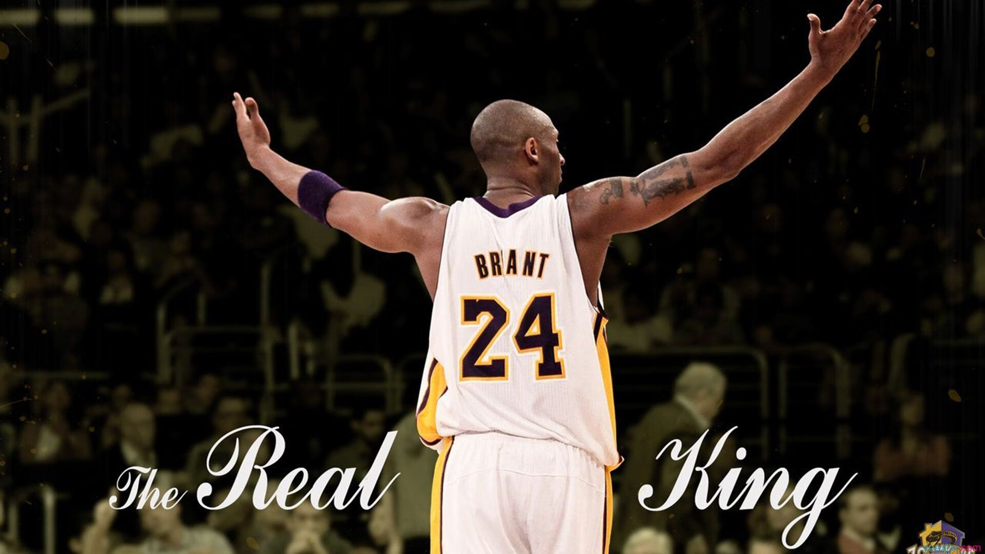 绝境重生,格纳布里以双响与一记绝杀,背负荷兰完成对旧我的颠覆